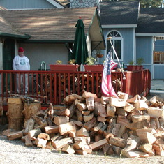 Pappy admiring our wood pile.....2006