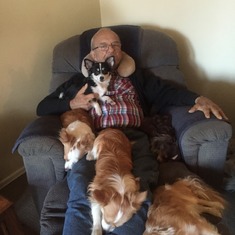 Dad with all his dogs
