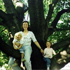 1997 Tree