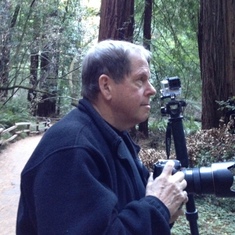 Photographing Muir Woods