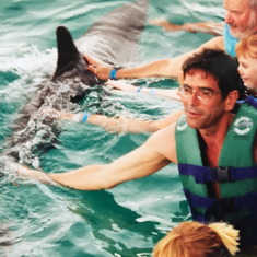 Swimming with dolphins near Cancun