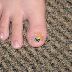 Jordan painted the great toes of all the males of the family-Hawaii