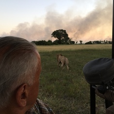 Botswana safari, 2015