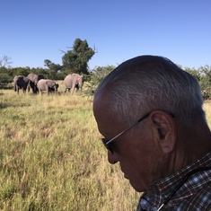 Botswana safari, 2015