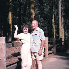 (23) California (Sequoia National Park) - Grandpa Bruce 1984
