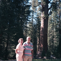 (26) California (Sequoia National Park) - Grandpa Bruce 1984