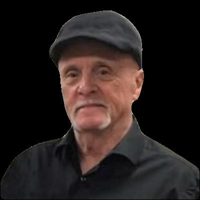 Ronald N Wilkins