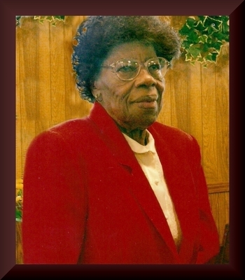 Rosa Pearl Moss