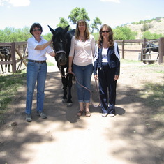 Rose, Comet, Polly & Kathy-sisters at Epona