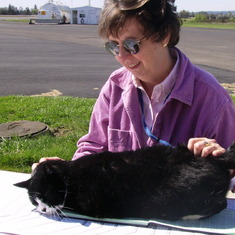 Rose was filling out her Log Book when the airport cat wanted some attention.