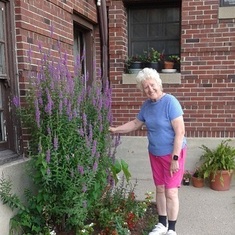 This was Rosemary's small garden in Champaign in 2016