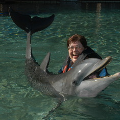 Mom dolphine2