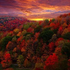 WV Hillside - Beautiful Fall Photo