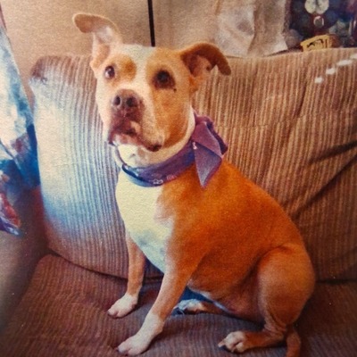Ruby Lynne Varelli