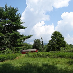 View of the back field and neighbor's barn.