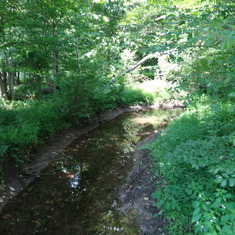 The stream that runs through Aunt Ruth's property