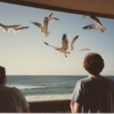 Ruth and Waltraute feeding seagulls while on vacation Pensacola FL Feb 1992