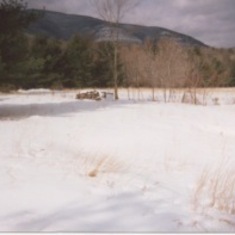 A winter's view showing the back of Ruth's property  Winter 2000