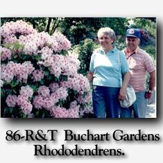 86-R&T  Buchart Gardens- Rhododendrens