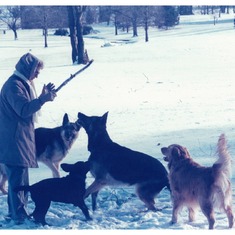 Ruth Conducting Dogs