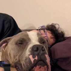 Ryan napping with his roommate's Pitbull named Cobie