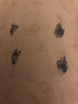 Ryans hand and footprints