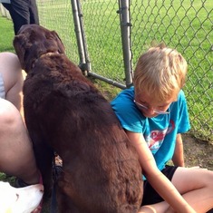 Ryano's make good seats for lap dogs (Bauer) - Summer 2014