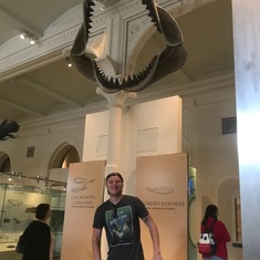 Museum of Natural History, NYC 2019