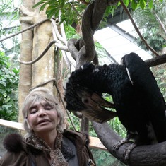 Mama with a bird at the Omaha, NE, Zoo in 2008.