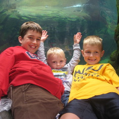 Summer 2011:Sam, Joel and Luke at the zoo.