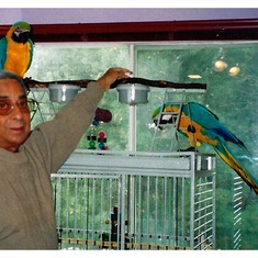 Sam Sahoy & The Macaws