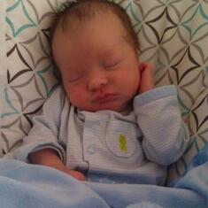 April 28, 2013: Today, I am officially two weeks old!