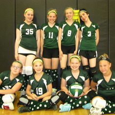 Volleyball team 2012