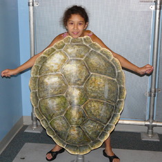 Sarita the turtle at The Maritime Aquarium, Norwalk, Connecticut