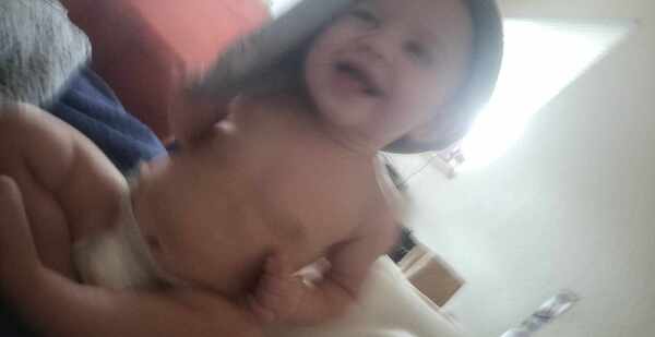 Saylar lyn Jenkins