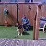 Scooby-doo playing with his dad in ower back garden