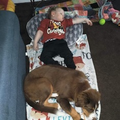 Levi and his new puppy, Cowboy worn out from Christmas, 2023.