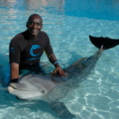 Swimming with dolphins in the Bahamas