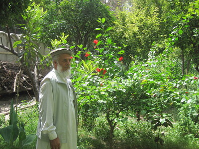 SHAD MOHAMMAD HAMDARD