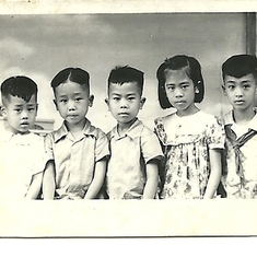 陈诗豪先生的五小孩