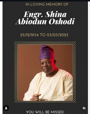 Shina Abiodun Oshodi