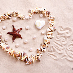 miss you sand with heart shaped shells