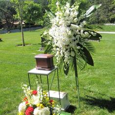 Dad's Edelweiss Memorial at new Monrovia, Calif. home