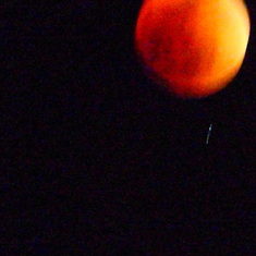 Alfonzo's picture of the historical red moon!