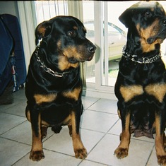 5-19-2007-11     KNYTRO ON LEFT AND ZEYNA ON RIGHT BEAUTIFUL!!! ALWAYS TOOK PIC TOGETHER LOL