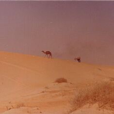 Koenig-Riding-with Camel---from Karen