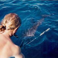 Steve with knife in mouth releasing sailfish. Baja-mid 90's