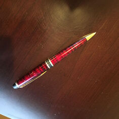 The pen Steve and Renee gave me.  I use it every day to remind me of him.