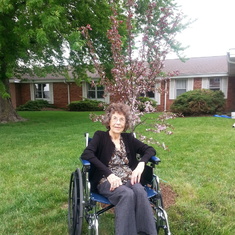 Grandma Jensen in front of Steve's memorial Royal Crab Tree.  Happy 94 Birthday.
