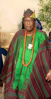 Steven Olusegun Odumosu